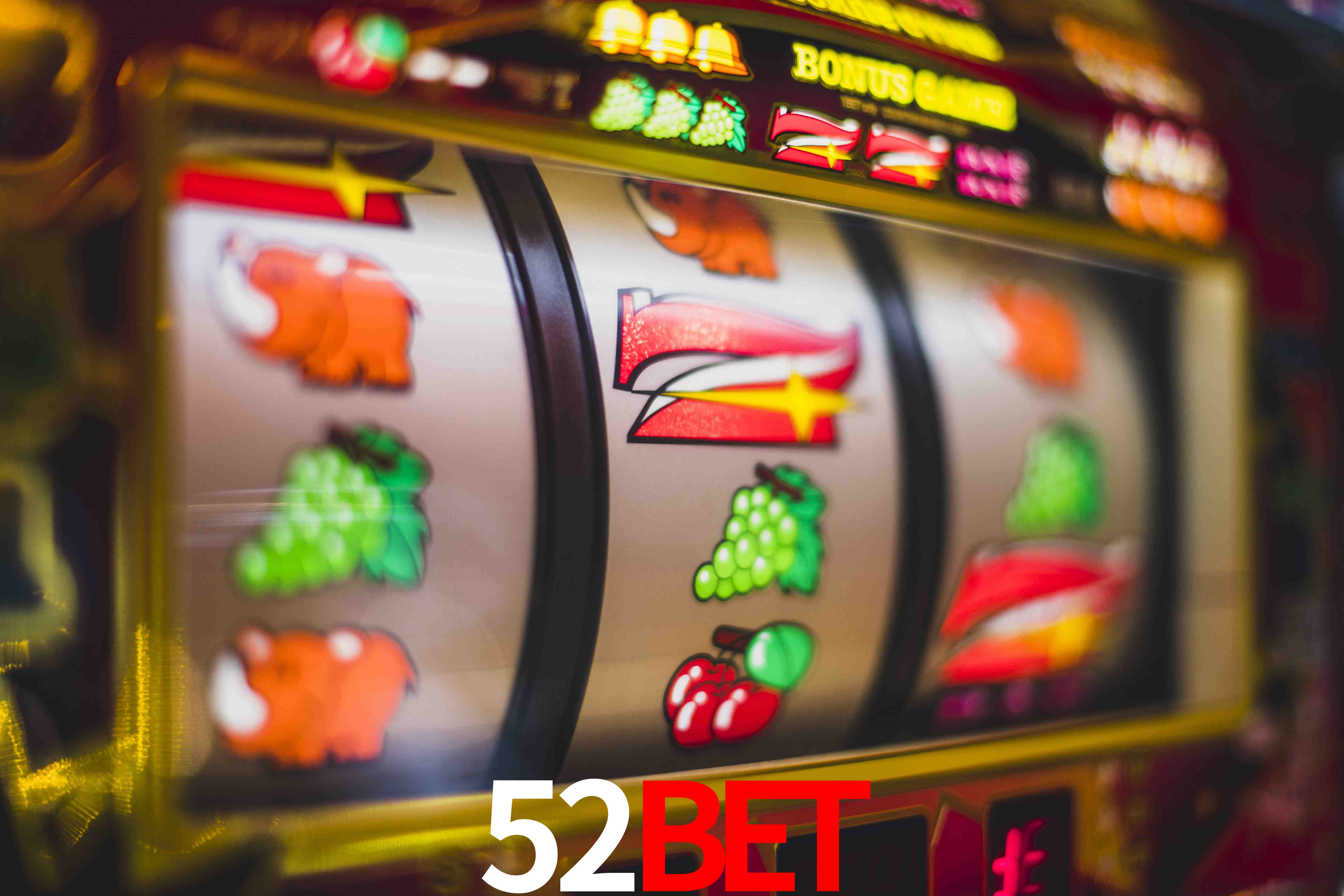 Sports Statistics 52bet